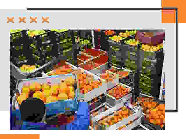 Перевозка скоропортящихся продуктов в Беслане